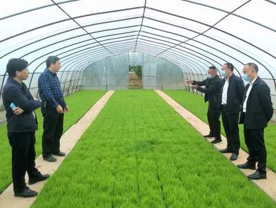 衡南縣聚焦技術推廣服務，力爭完成55萬畝機插機拋面積